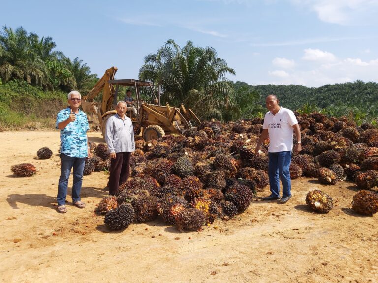 299071878_2826876400952994_522798384511962972_n