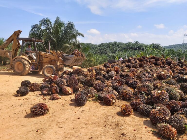 299116435_2826876430952991_152904555182533738_n