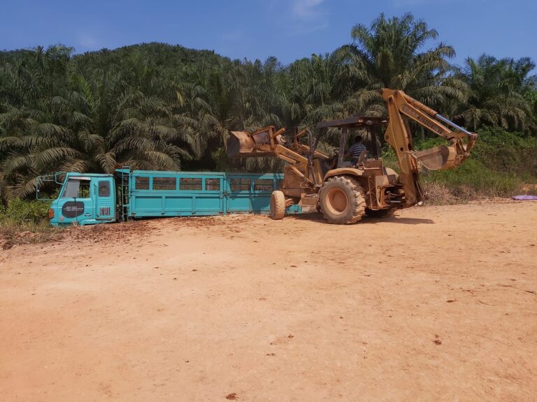 299120125_2826876460952988_5568465362090070938_n