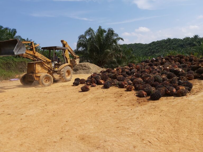 299383146_2826876517619649_1139239080111514042_n