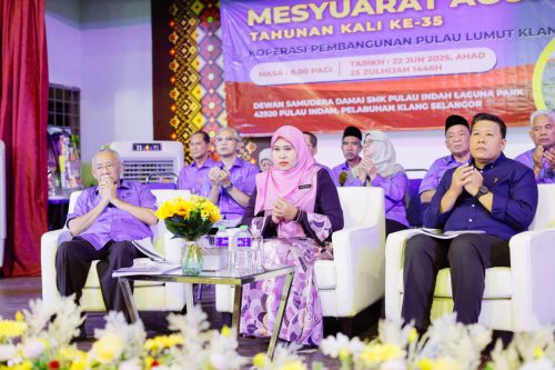 IMG 0381-FILEminimizer